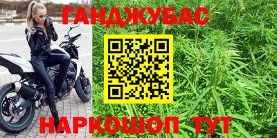 хмурый Сланцы