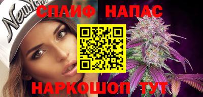 хмурый Сланцы